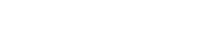 263 Genie Movie