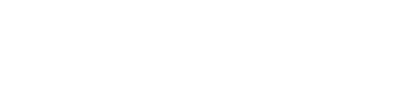 216 밤에 피는 꽃