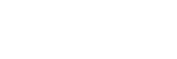 312 정글의 법칙